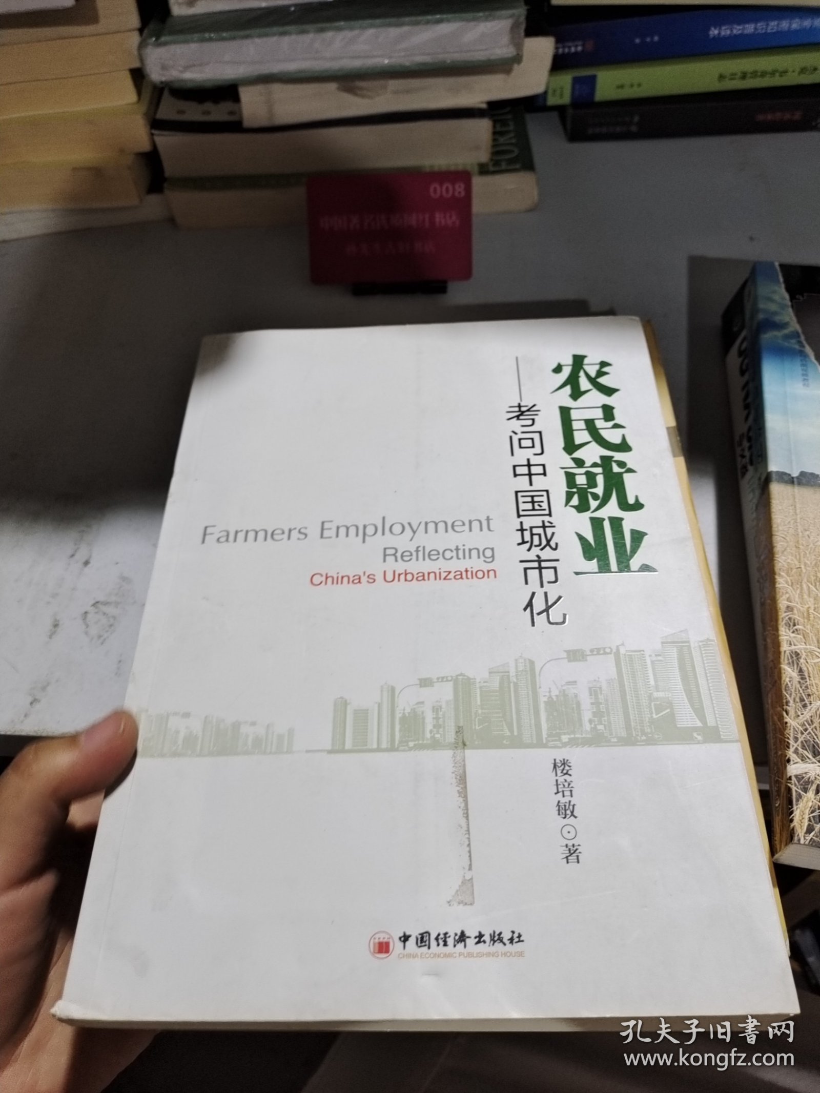 农民就业：考问中国城市化