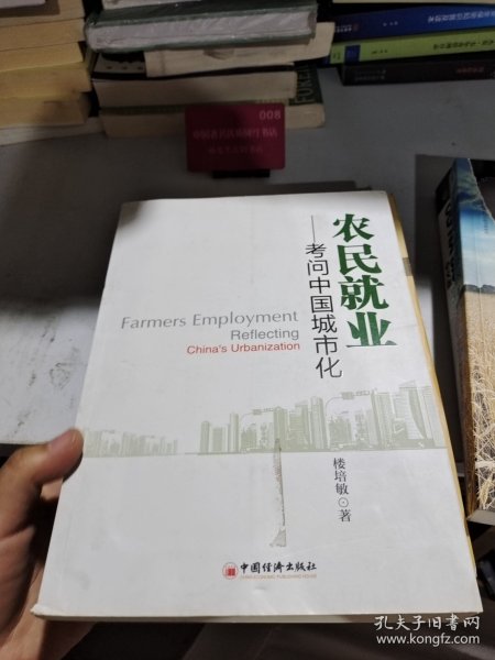农民就业：考问中国城市化