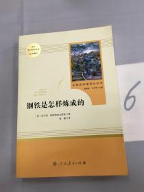 统编语文教材配套阅读 八年级下：钢铁是怎样炼成的/名著阅读课程化丛书