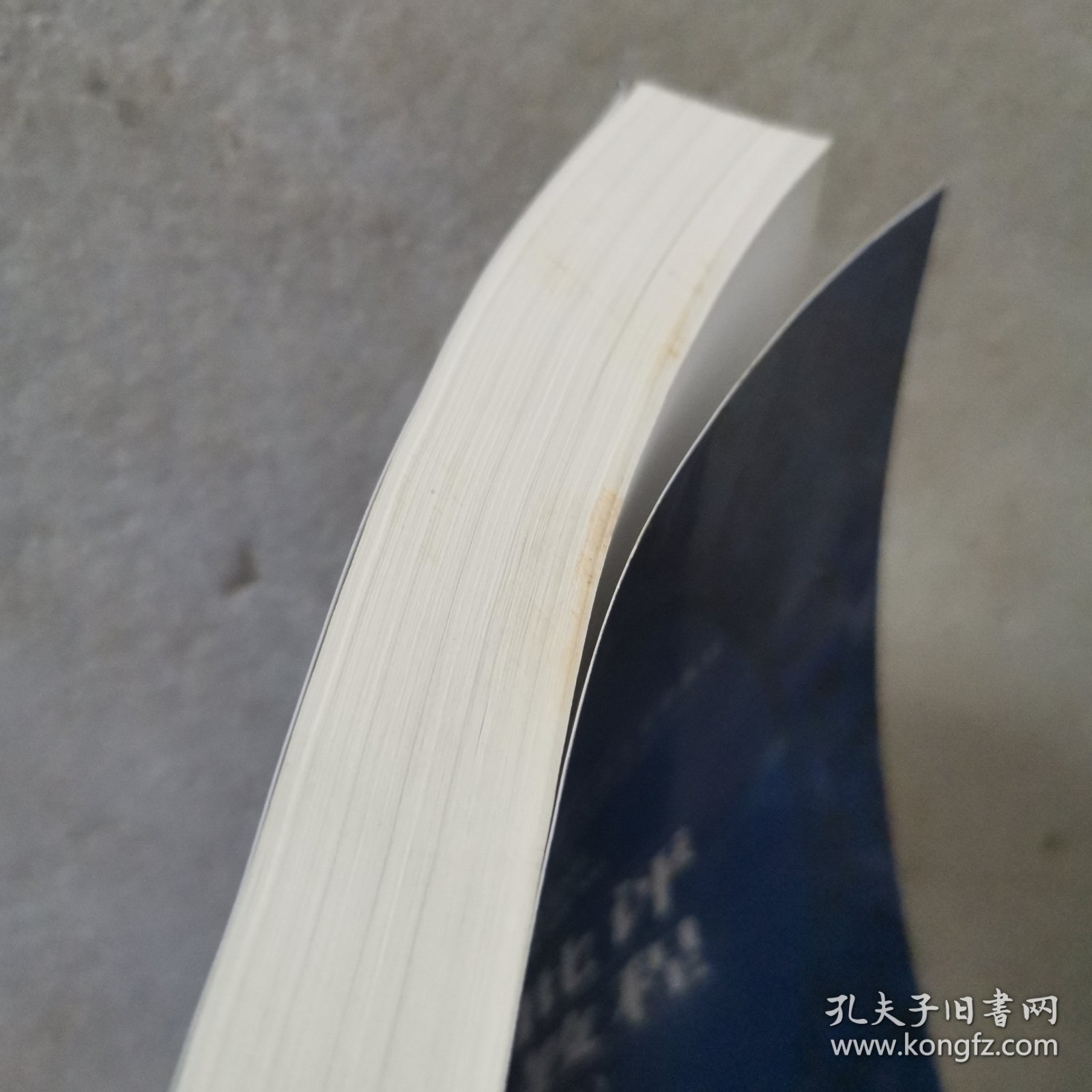 文学批评实践教程