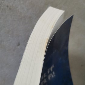 文学批评实践教程