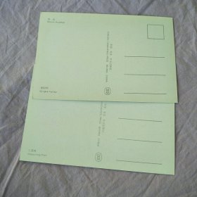 华山 明信片（全10张）第一版