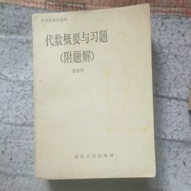 代數(shù)概要與習(xí)題（附題解）