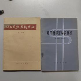 什么是凯恩斯主义（两册合售）