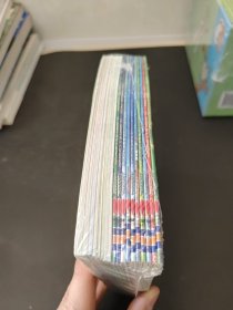 Usborne first Experiences（20本合售）（外文书）