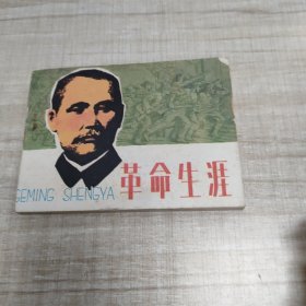 革命生涯 ~连环画∽品自鉴，按图发货∽存放100号箱