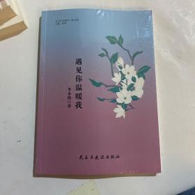 遇见你温暖我/当代作家精品