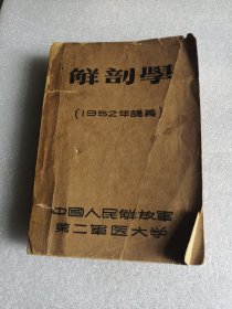 解剖学 1952年讲义