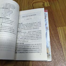 养鸭实用新技术