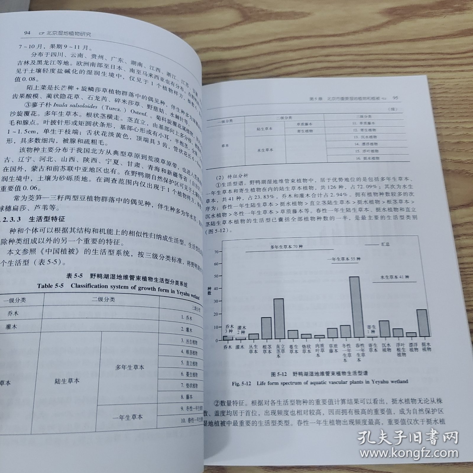 北京湿地植物研究
