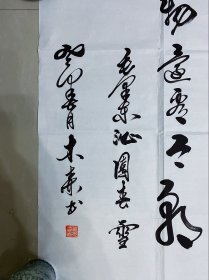 书法，沁园春雪，真人真迹纯手绘作品，假一赔万，终身保真，您放心入手，中国书法家协会会员祖木森老师的原创大作，老师写的非常大气，雄壮巍峨，笔墨浓淡干湿焦。尺寸：2.2米×70公分，小8尺的，家里客厅，卧室，书房，茶室，办公室，大厅，会议室都可悬挂，非常棒的一副佳作，因为一直在库房箱底压着，有些折痕，不过一托底装框就看不见，之前卖600的，赔钱出了，160元包邮！