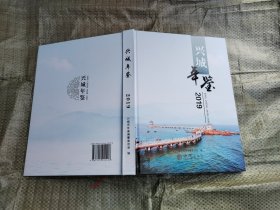 兴城年鉴 2019(大16开，硬精装，10品，原价260元）