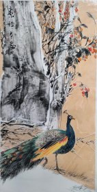 孔雀，清华美院秦少圃助教，山东省美协赵建龙老师，花鸟画，素语，古树，孔雀，写意画法，山东省美协会员赵建龙老师真人真迹纯手绘作品，本人承诺假一赔万，终身保真，支持第三方鉴定，带老师合影。老师的花鸟刻画非常漂亮，笔墨浓淡干湿焦，画的很灵动，惟妙惟肖，写意画看整个构图。尺寸：1.4米×70公分，四尺整张的，家里客厅，卧室，茶室，办公室，书房都可悬挂，很有味道的一副画。