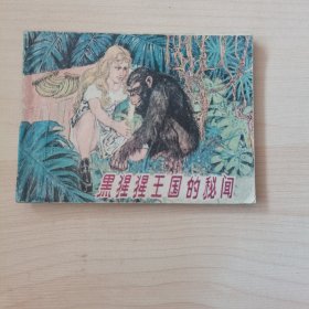 黑猩猩王国的秘闻