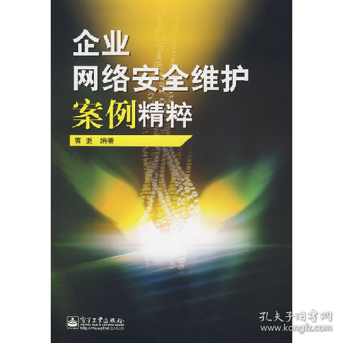 企业网络安全维护案例精粹9787121069642电子工业出版社