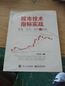 股市技术指标实战：原理、方法、技巧与实践
