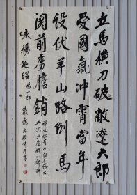 戴巍光（1923～2012），原名勋塘，嘉善县魏塘镇人。记者、编辑。抗日战争初期就读于上海无锡国学专修学院。1942年春转入南京中央大学文史系学习。 编写《洪门史》，并从事中共地下工作。建国后任中国新闻社编辑， 1975年由董必武介绍，被聘为北京市文史研究馆馆员。1984年被聘为中央文史研究馆馆员。………，六尺整张。3