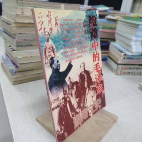 湖南文史 增刊