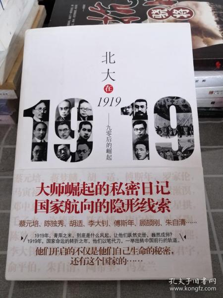 北大在1919：九零后的崛起（一版一印）