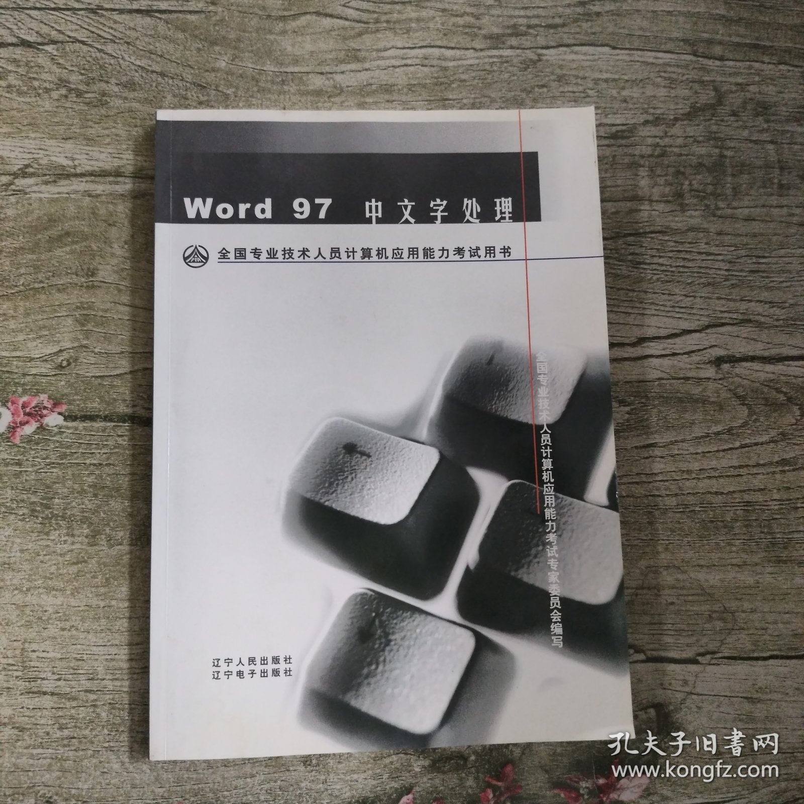 Word97中文字处理。