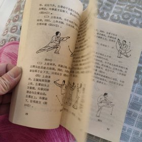 追风刀·连环拳:当代中华武术冠军徐其成拿手套路选