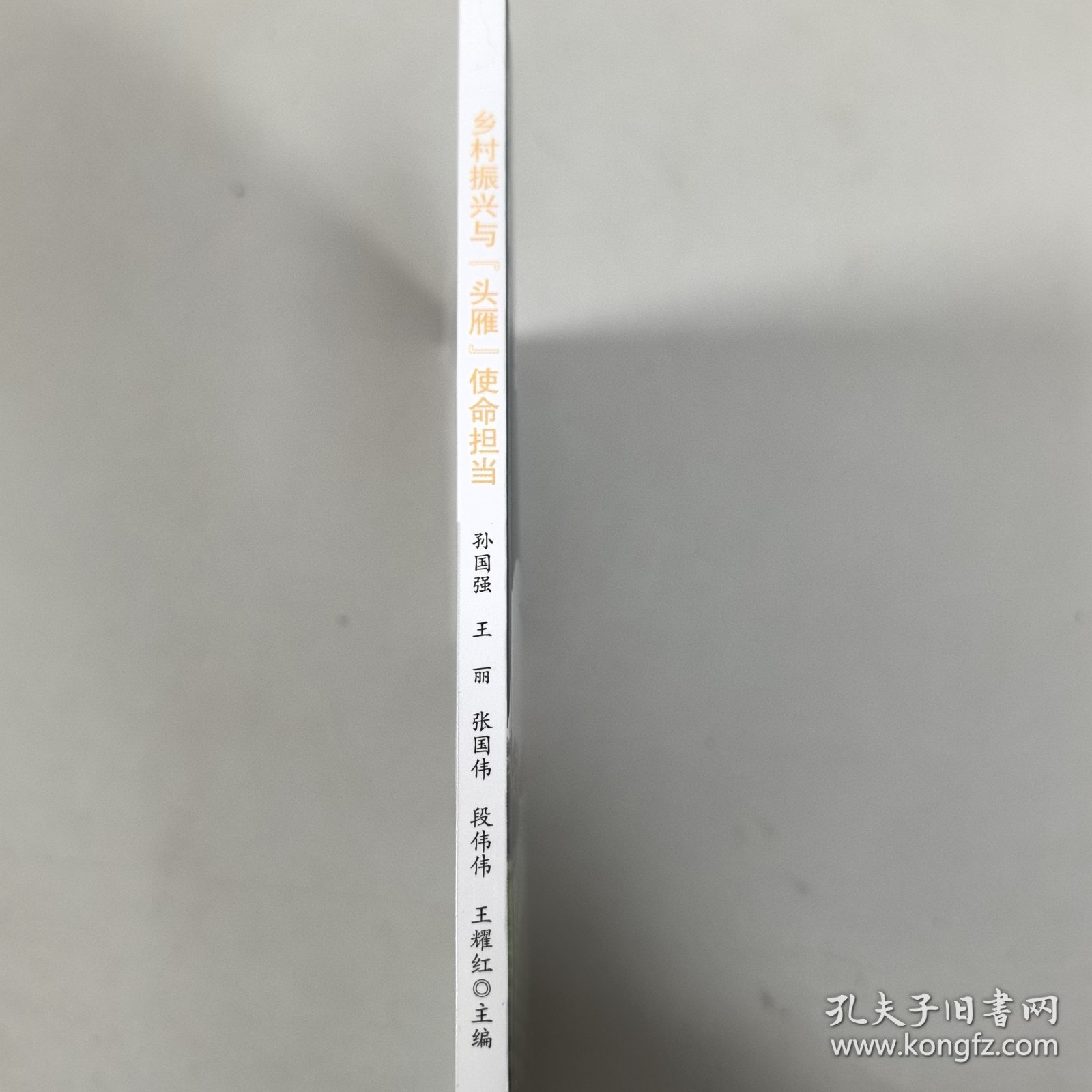 乡村振兴与头雁使命担当(农民培训精品系列教材)