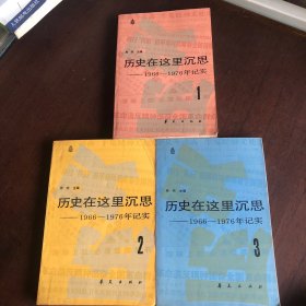 历史在这里沉思 1966 1976年记实一二三