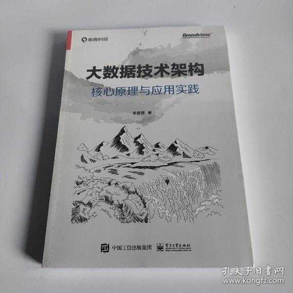 大数据技术架构：核心原理与应用实践(博文视点出品)