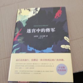 迷宫中的将军