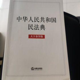 中华人民共和国民法典（大字条旨版）2020年6月