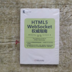 HTML5 WebSocket权威指南