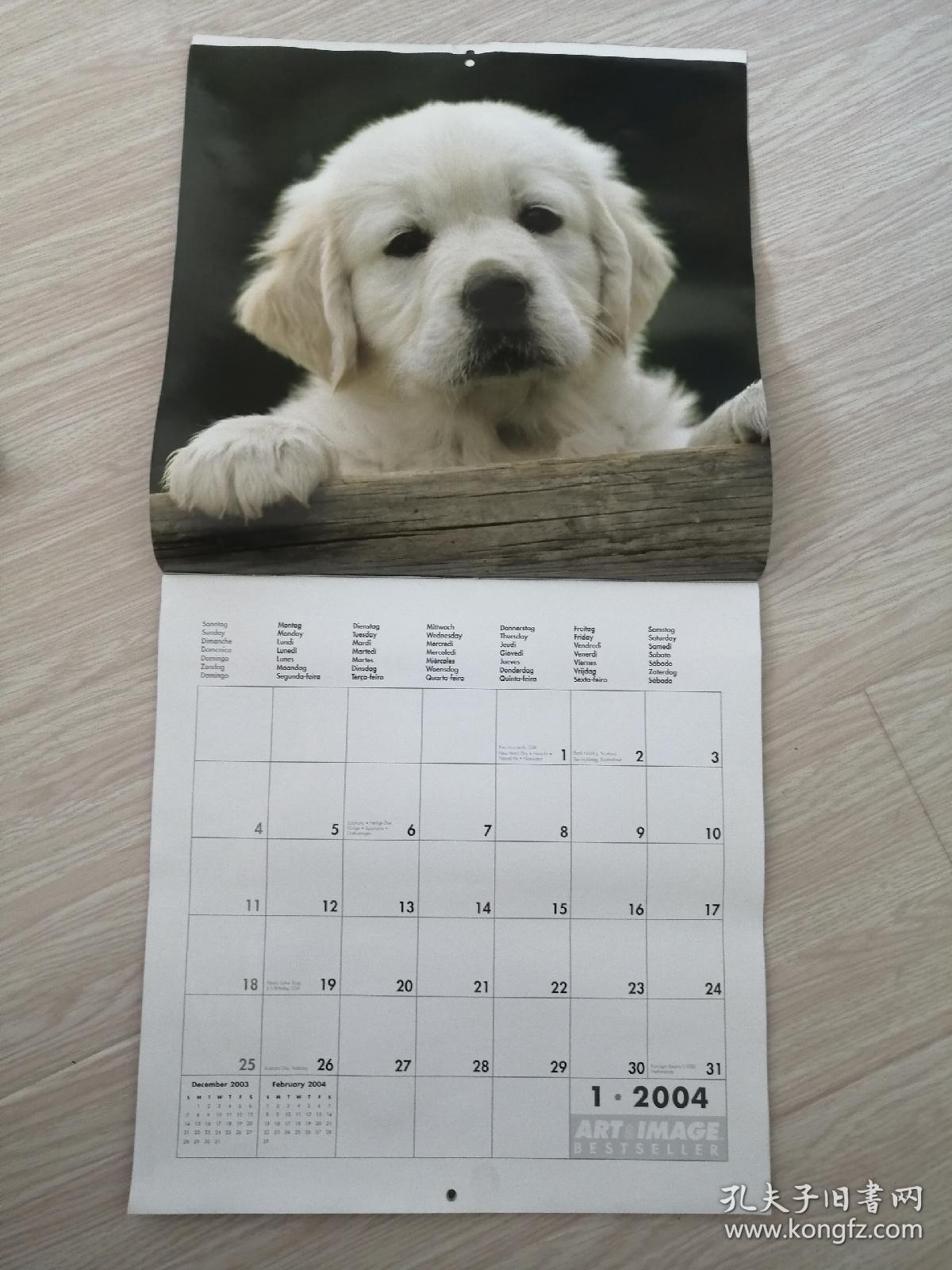 2004年德国原版挂历名犬，13张全