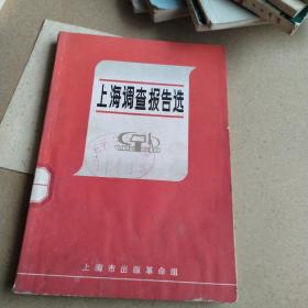 上海调查报告选