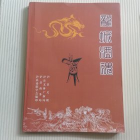 龙城酒魂 泸县酒业