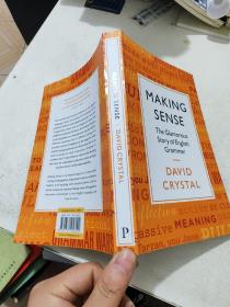 理解 英语语法的故事 英文原版 Making Sense The Glamorous Story of English Grammar 语言学习 英文版 进口原版英语书籍