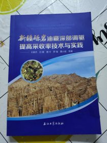 新疆砾岩油藏深部调驱提高采收率技术与实践