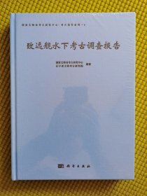 致远舰水下考古调查报告