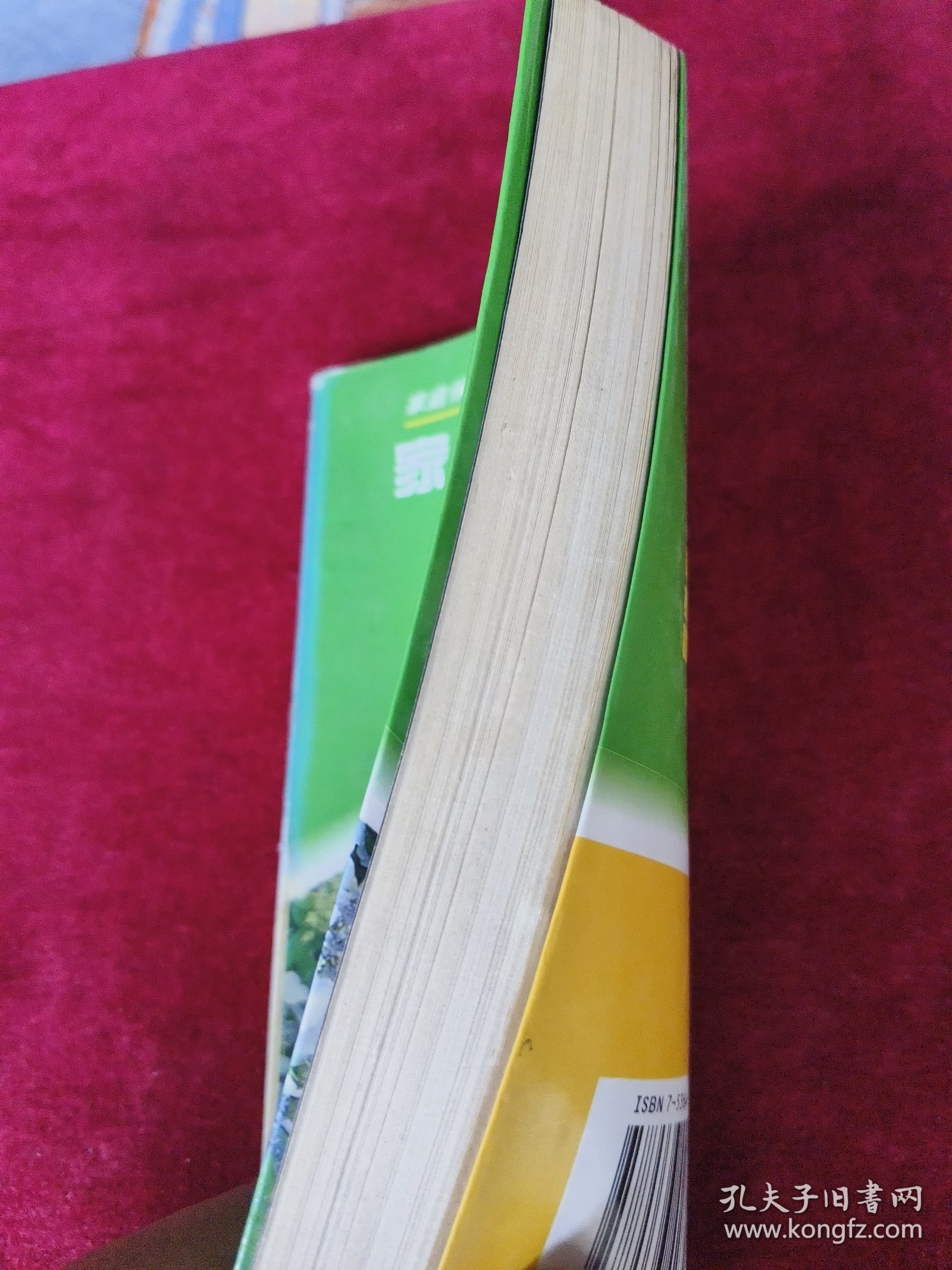 家庭妇女病推拿