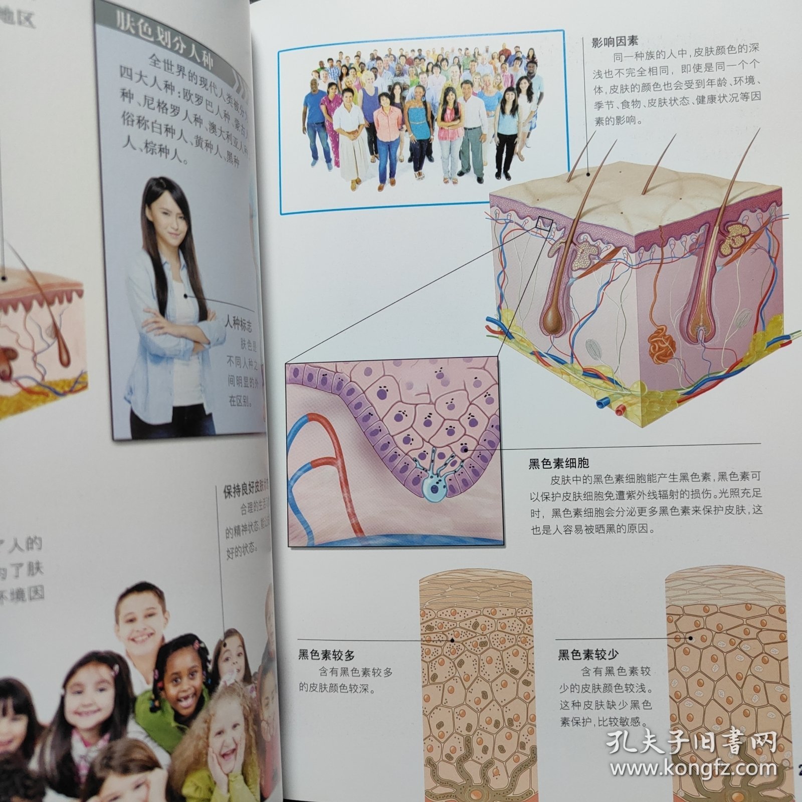 探索百科丛书·人体探奇：人体旅行