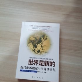 世界是新的 新兴市场崛起与争锋的世纪