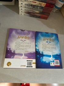 苏丹的禁宫（上下）