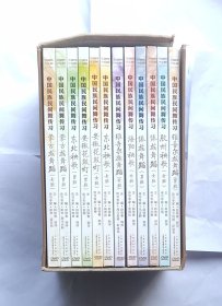 中国民族民间舞传习(全12册) DVD