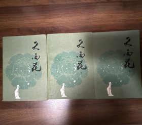 天雨花（上中下）