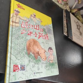 战火中的少年小英雄