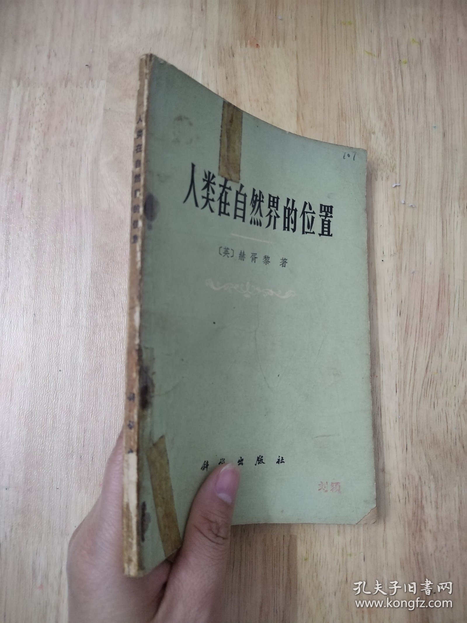 人类在自然界的位置 1971年版 16张实物照片