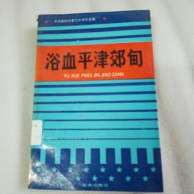 浴血平津郊甸