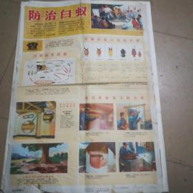 广东省宣传画 防治白蚁挂图之一 2开