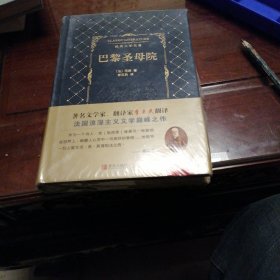 经典文学名著全译本 巴黎圣母院一未拆封