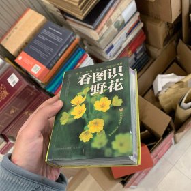 看图识野花