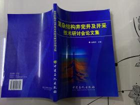 复杂结构井完井及开采技术研讨会论文集